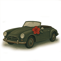 Car icon